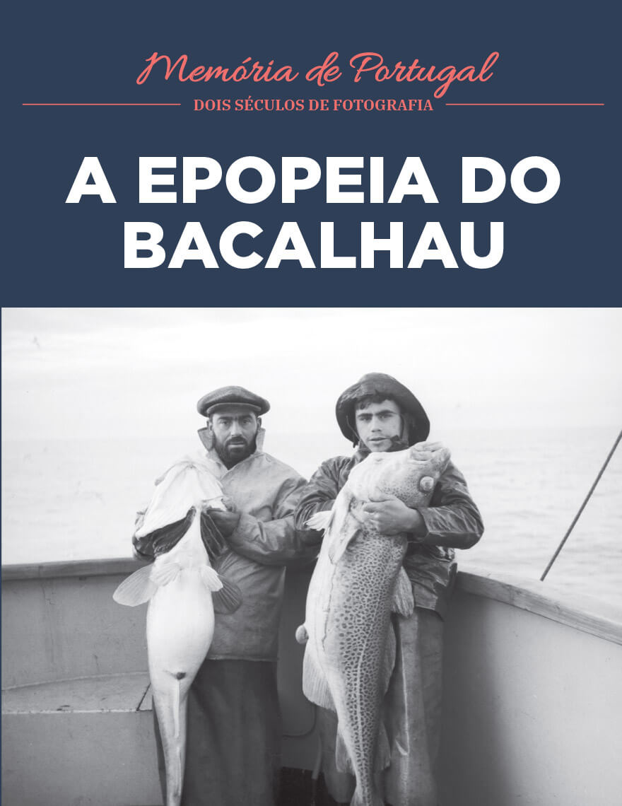 A Epopeia Do Bacalhau
